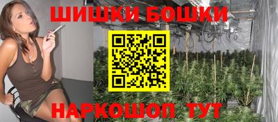 индика Заводоуковск