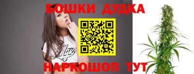 индика Заводоуковск