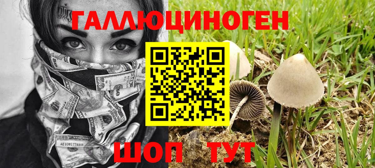 купить наркотики сайты  Галлюциногенные грибы MAGIC MUSHROOMS  Псилоцибиновые грибы Psilocybine cubensis  Вход с VPN  Набережные Челны 