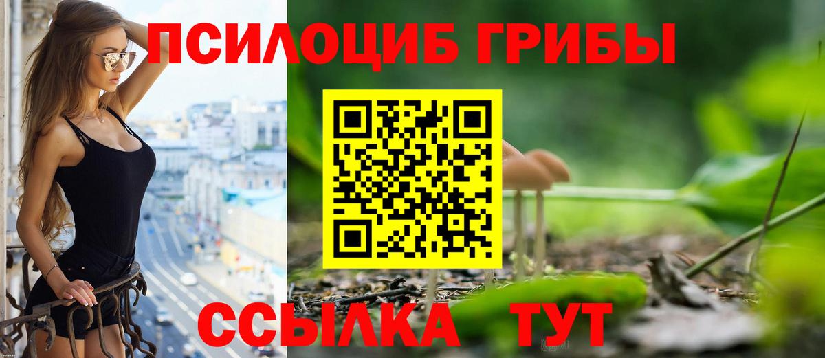 Галлюциногенные грибы Psilocybe Набережные Челны